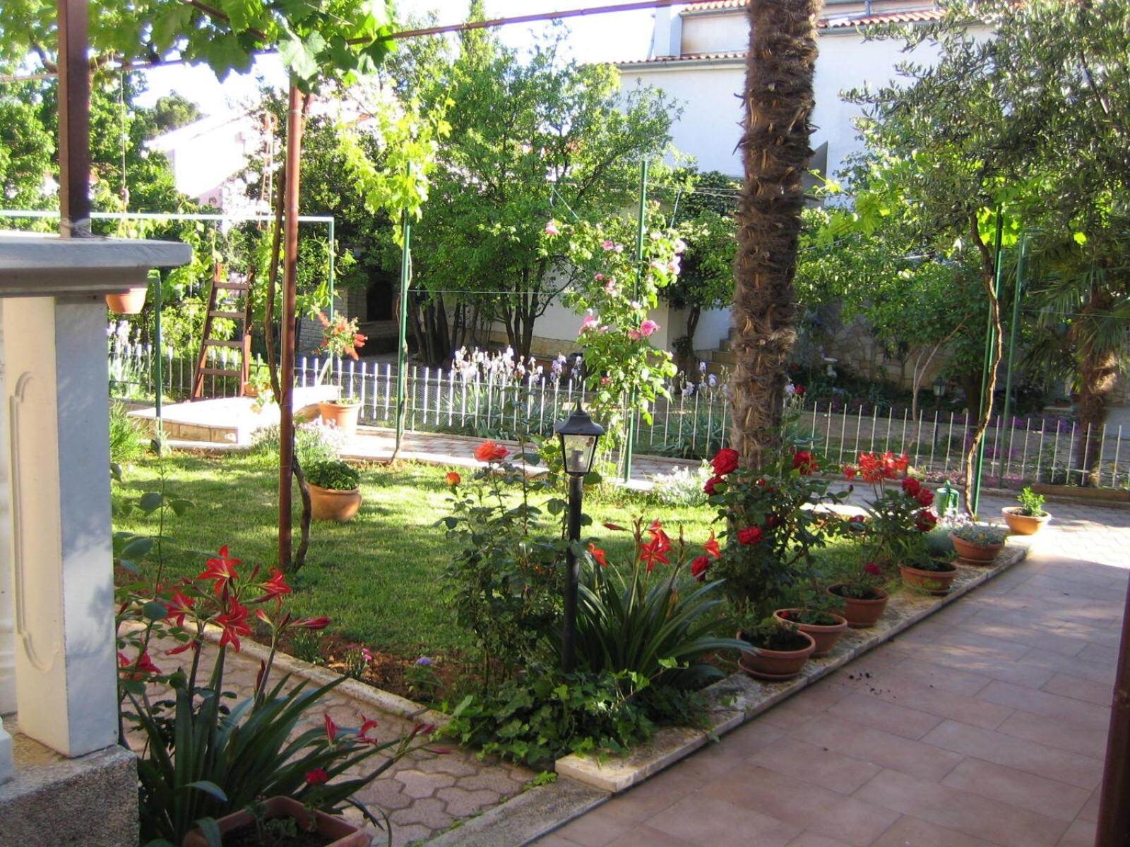 Apartments Renato Sveti Filip i Jakov Ngoại thất bức ảnh
